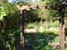 Decking & Landscaping